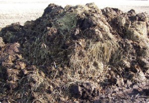 a pile of dirt with grass