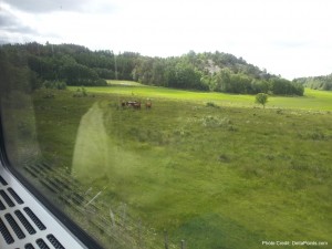 a view of a field of grass and trees from a train window