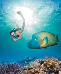 a woman snorkeling next to a fish