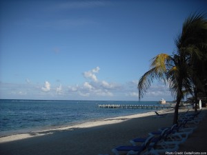a beach with palm trees and a dock