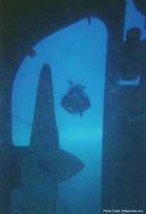 a scuba diver in the water