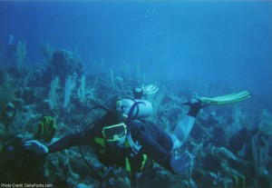 a scuba diver in the ocean