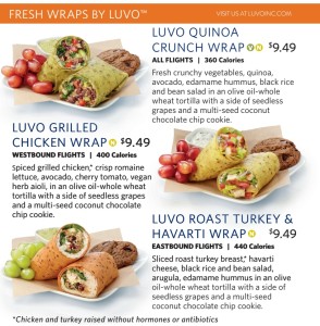 free luvo food on JFK Economy Comfort Delta