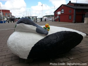 Lufthansa world cup duck out and about in gothenburg sweden delta points blog (1)