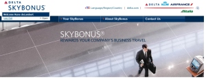 skybonus home page logo
