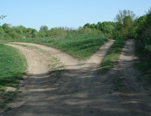 split road